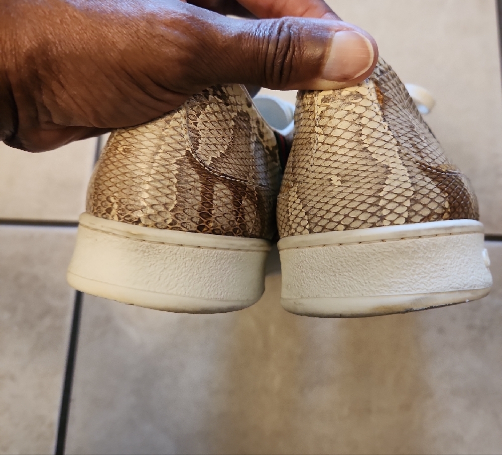Gucci Tan and White Sneakers Classic Low-Top Design - Picture 4 of 6